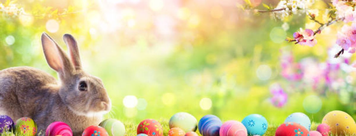 April 2022 Newsletter