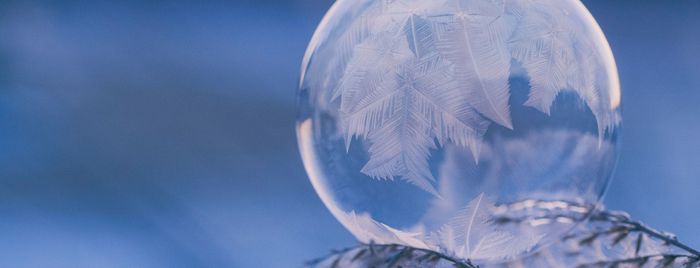 January Newsletter 2025