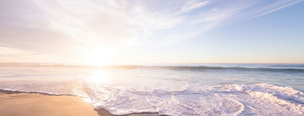 June 2021 Newsletter