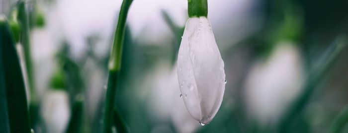 April 2021 Newsletter