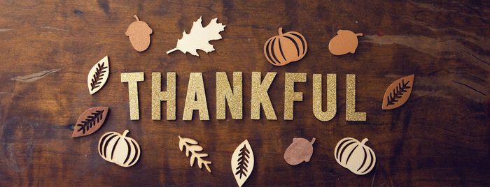 November 2025 Newsletter