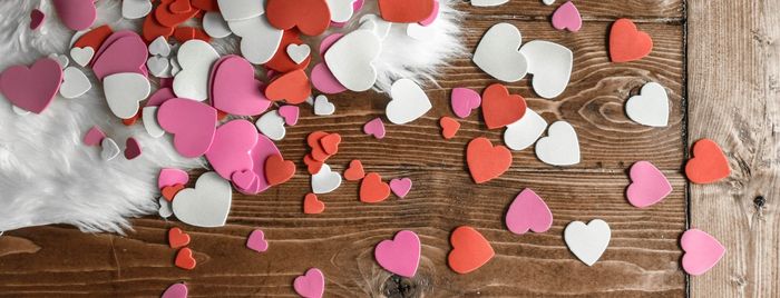 February 2026 Newsletter