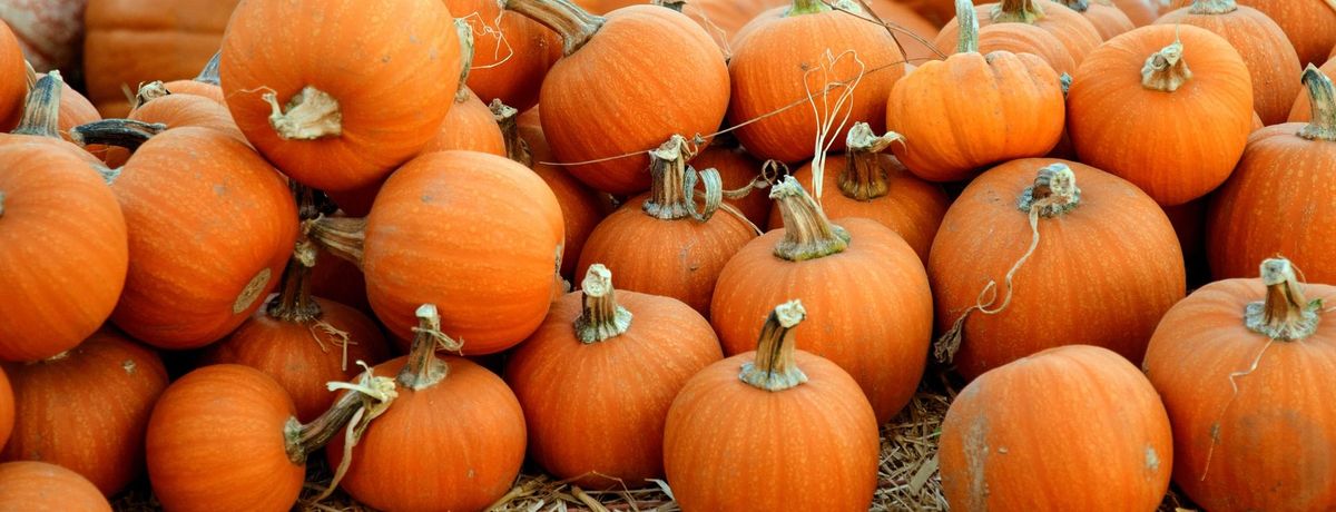 October Newsletter 2025