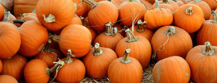 October Newsletter 2025