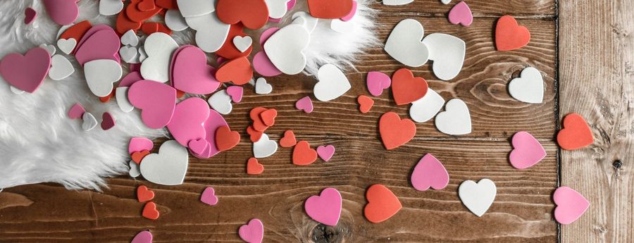 February Newsletter 2025