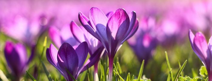 April 2026 Newsletter